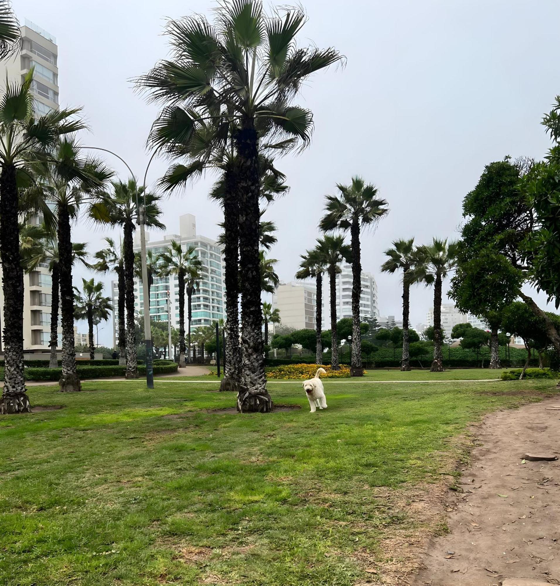 Modern 1Br Loft Close To The Seawalk Of Miraflores Lima Exterior foto